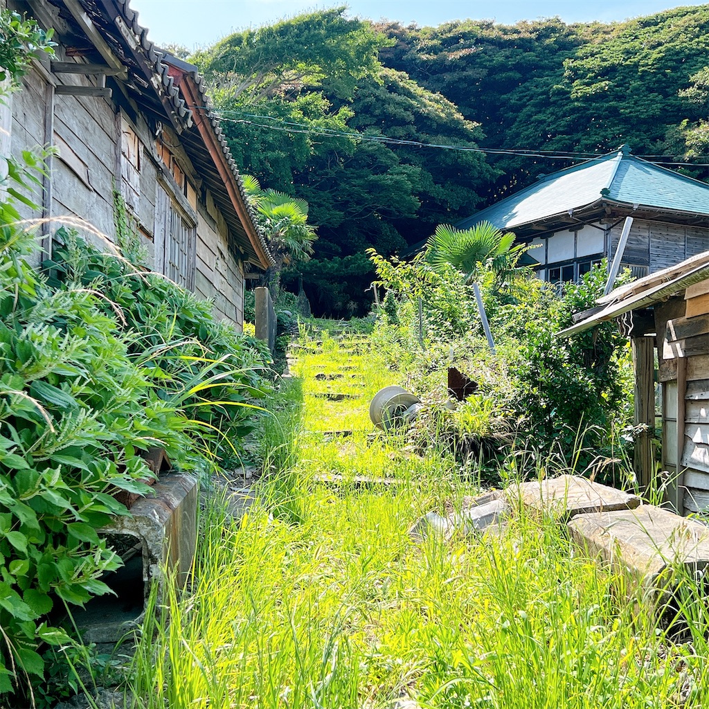 f:id:high-ho:20220818141449j:image