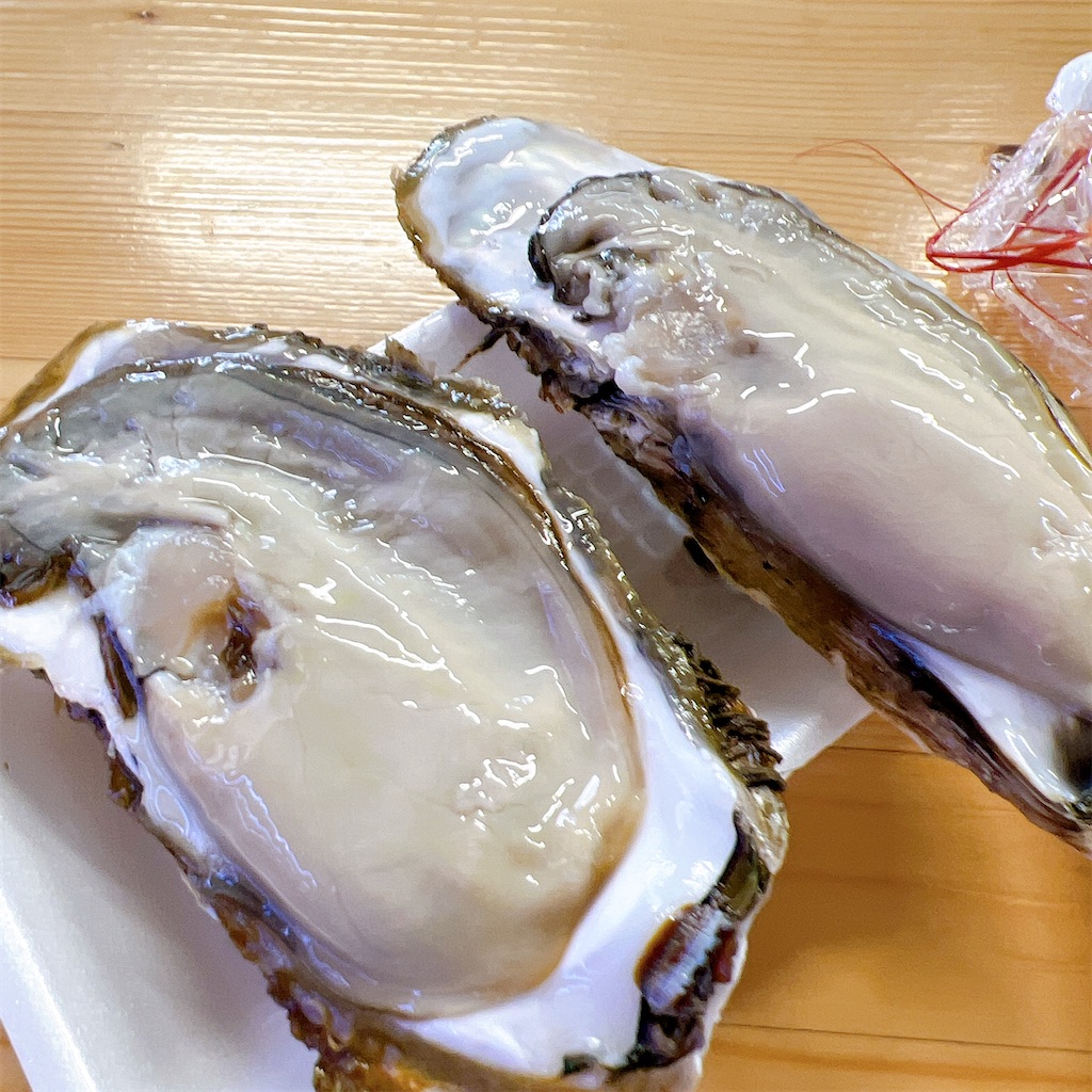 f:id:high-ho:20220818141827j:image