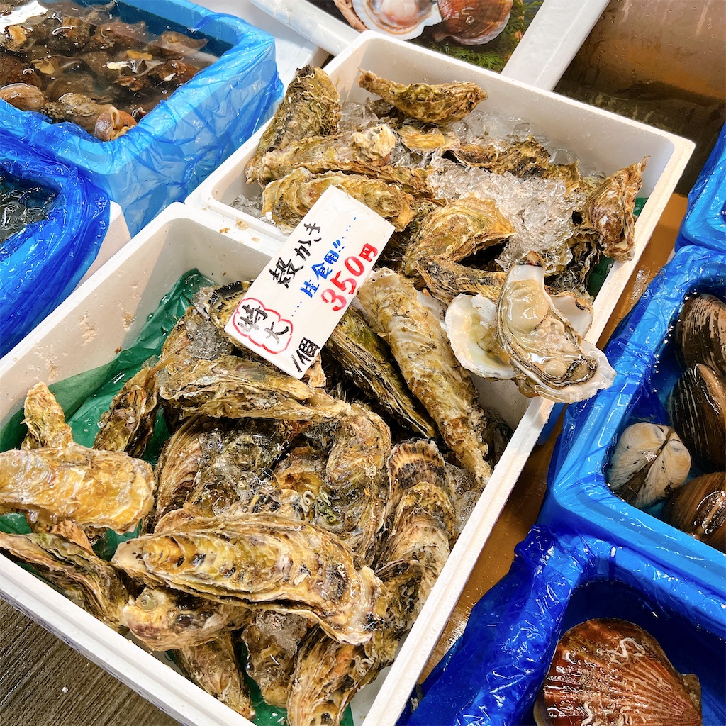 f:id:high-ho:20220818141848j:image