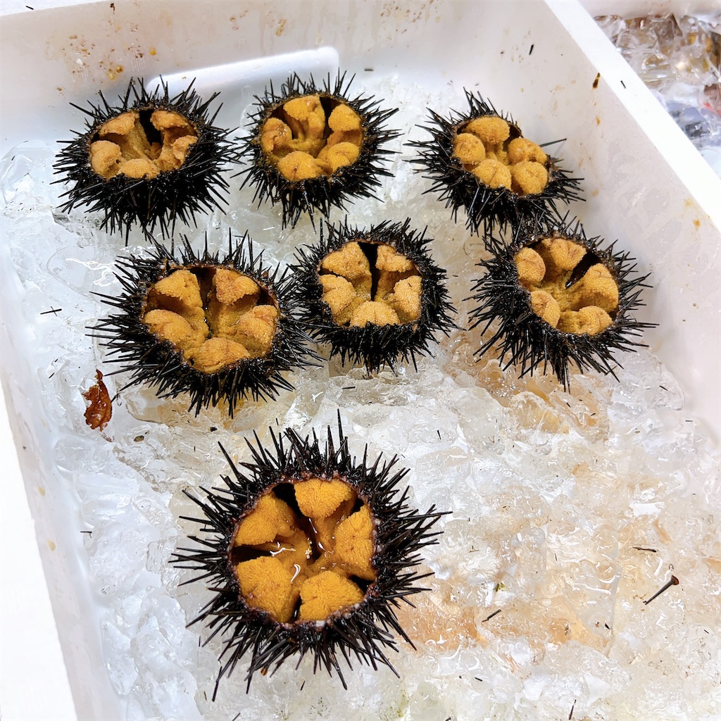 f:id:high-ho:20220818141921j:image