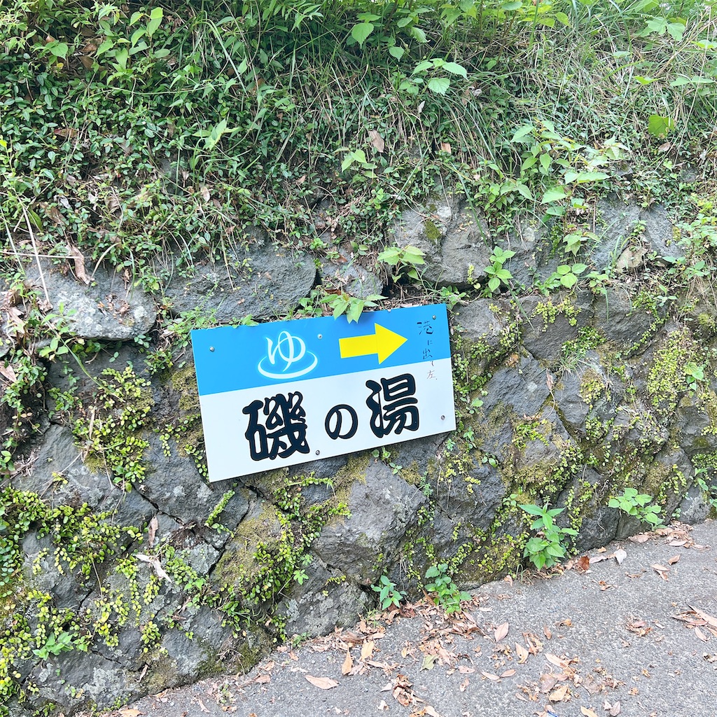 f:id:high-ho:20220824071722j:image