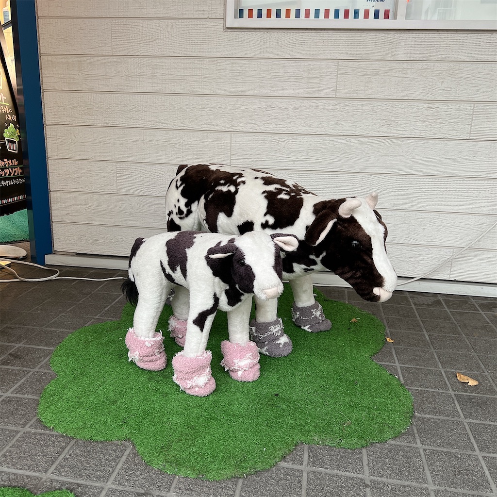 f:id:high-ho:20221114084032j:image