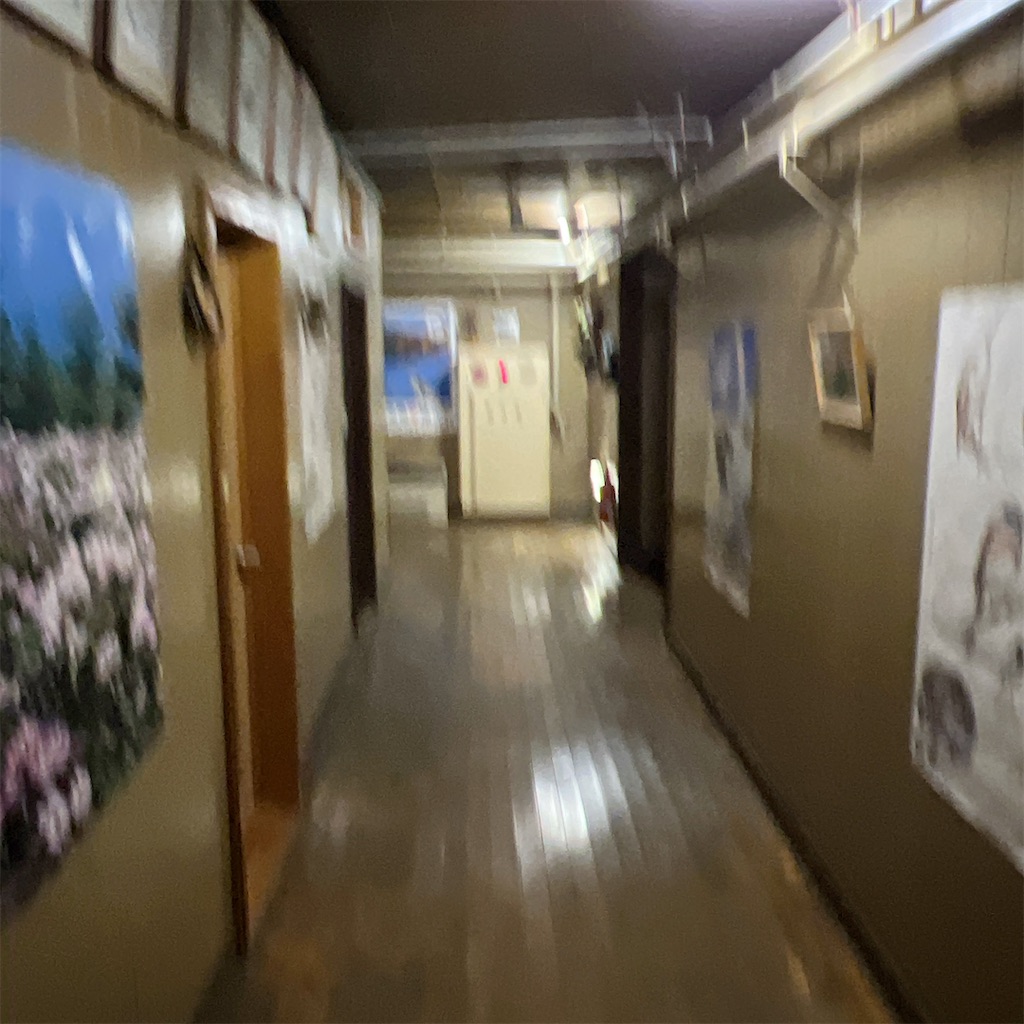 f:id:high-ho:20230206080548j:image