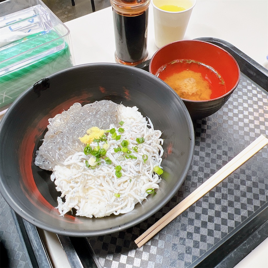 f:id:high-ho:20230506080618j:image