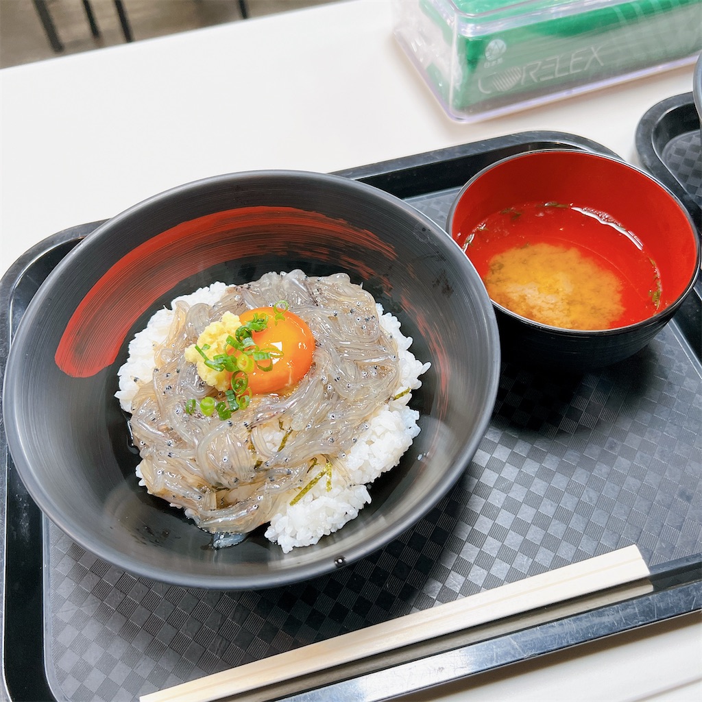 f:id:high-ho:20230506080628j:image