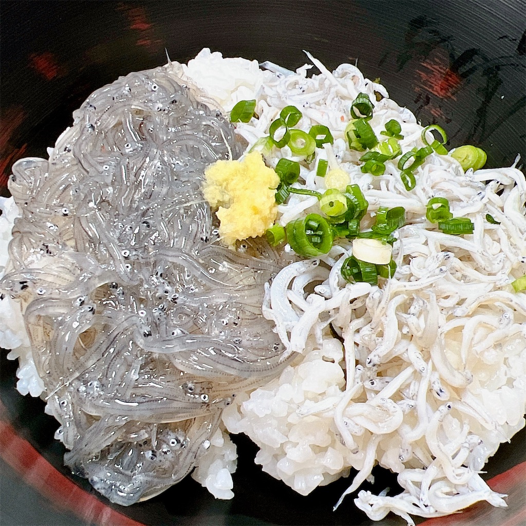 f:id:high-ho:20230506080638j:image