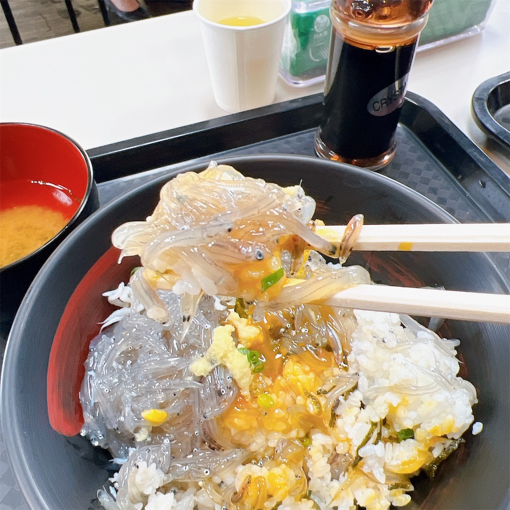 f:id:high-ho:20230506080706j:image