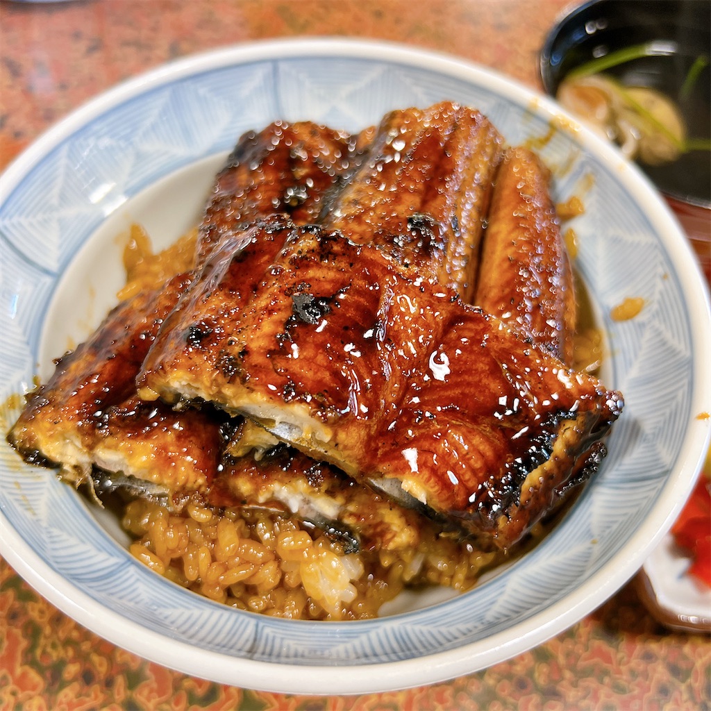 f:id:high-ho:20230509160514j:image