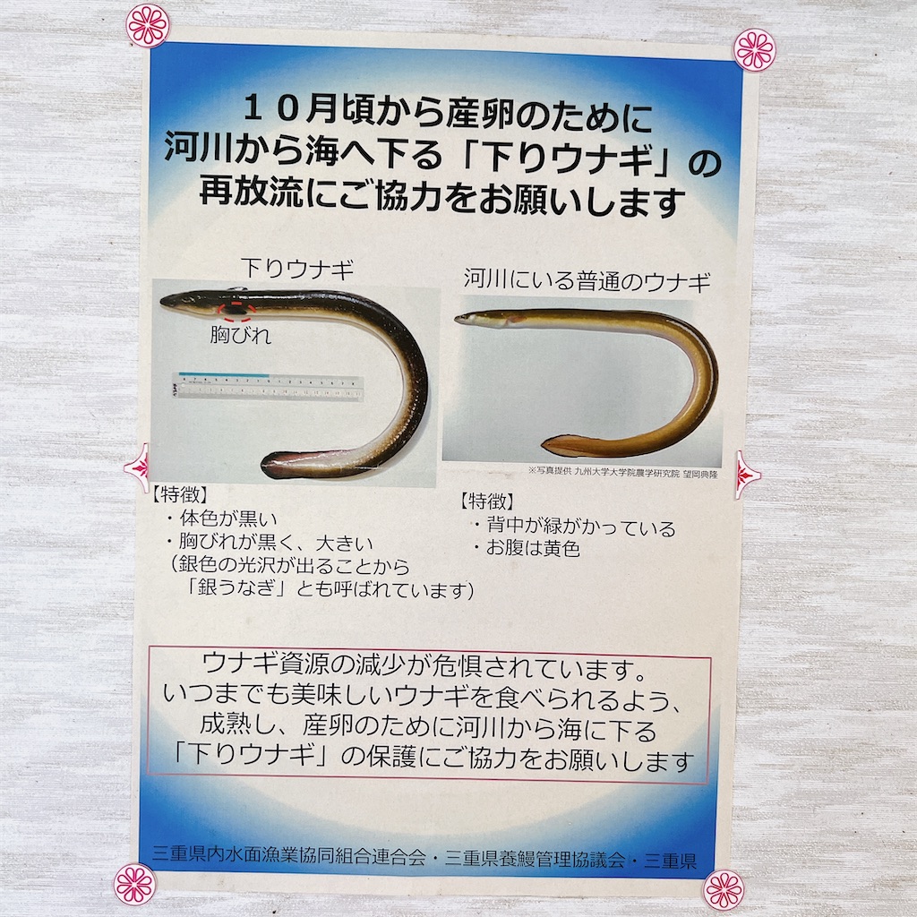 f:id:high-ho:20230509160528j:image