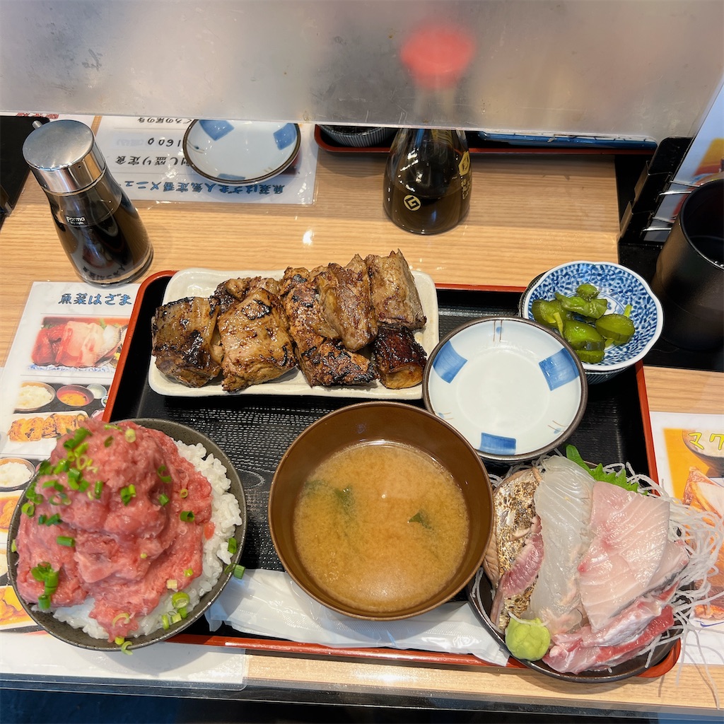 f:id:high-ho:20230615071041j:image