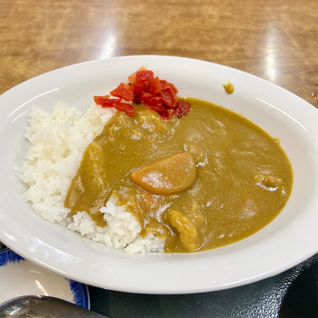 f:id:high-ho:20230616072847j:image