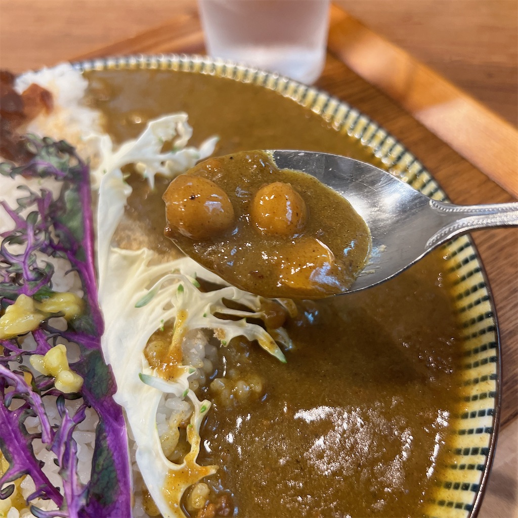 f:id:high-ho:20231226211243j:image