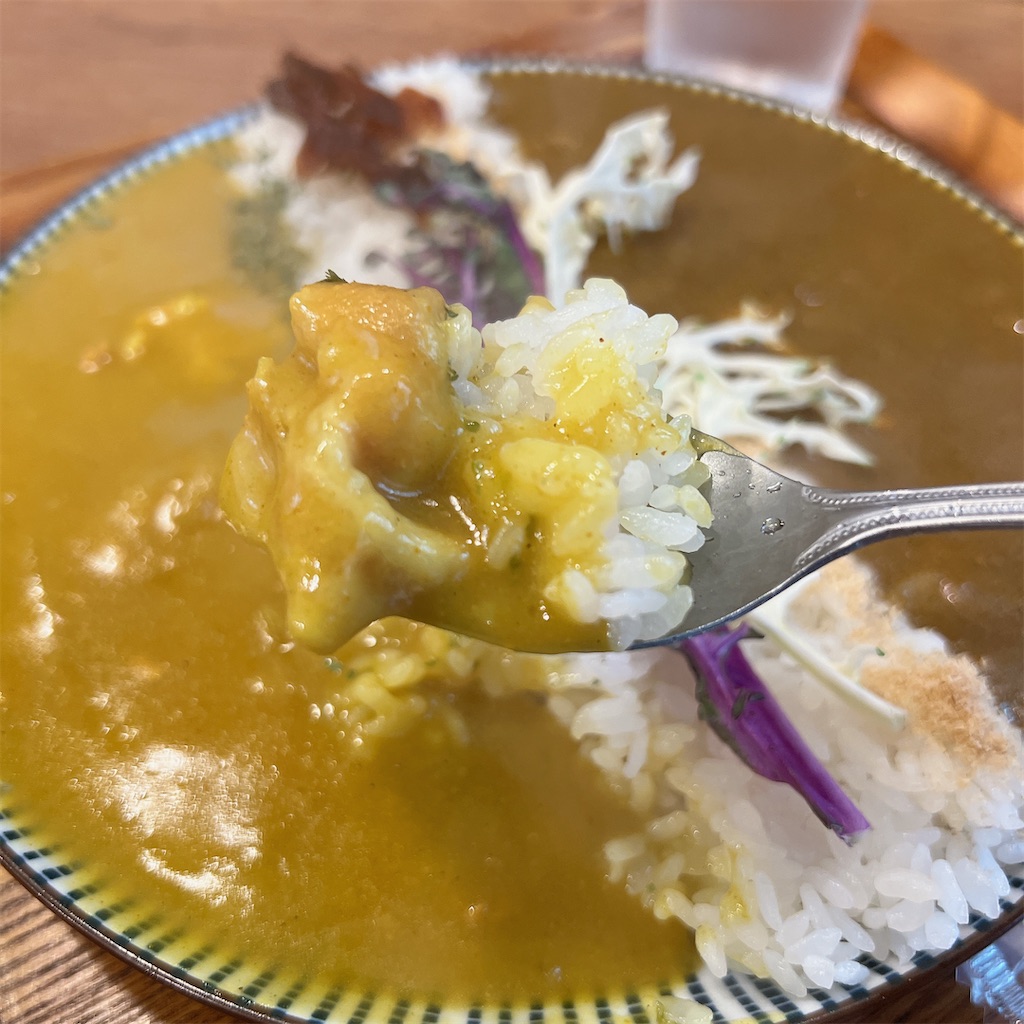 f:id:high-ho:20231226211318j:image