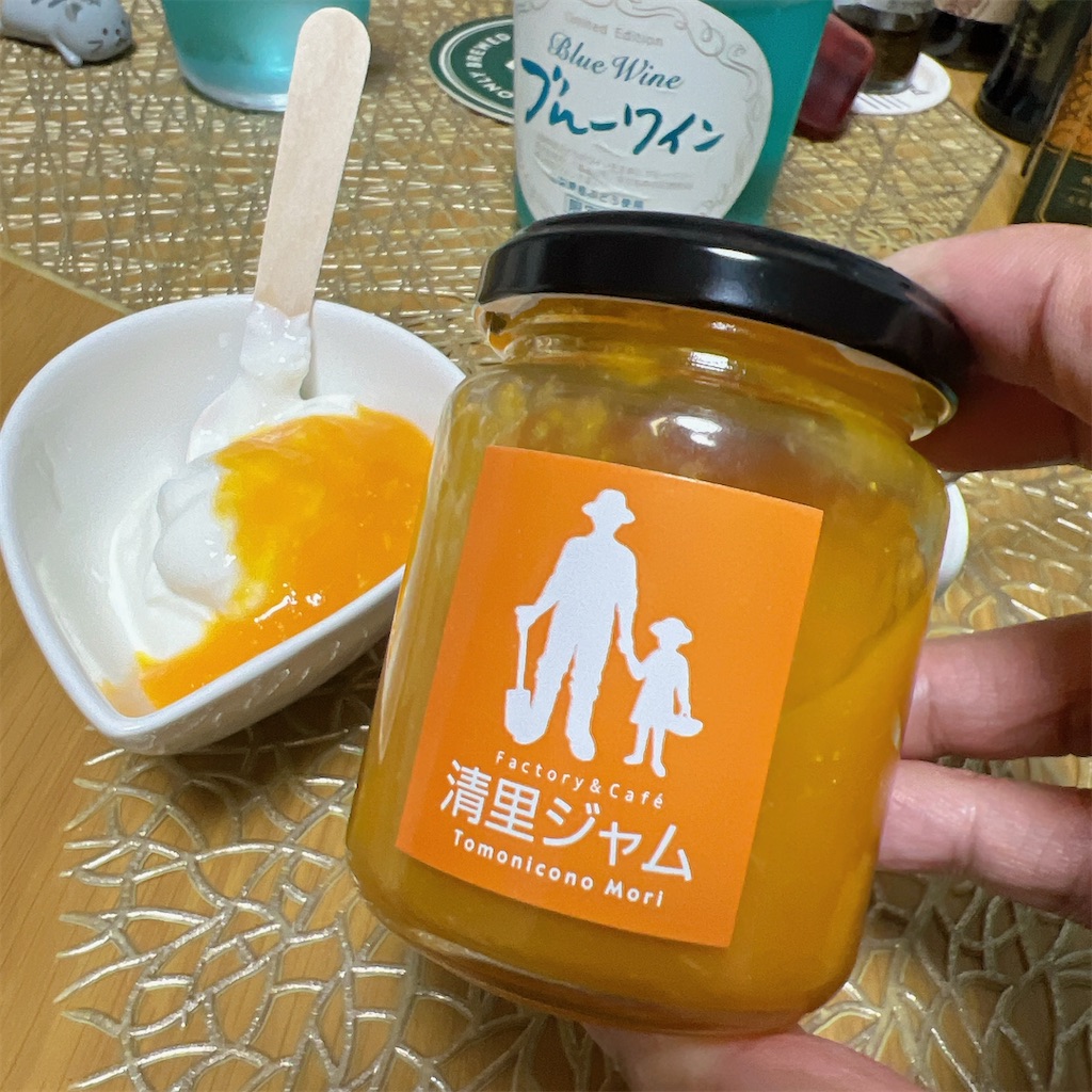 f:id:high-ho:20240305084401j:image