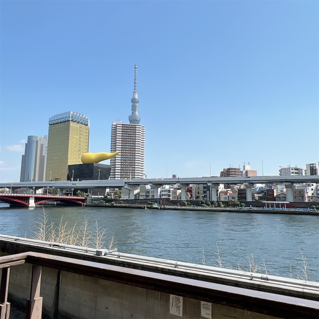 f:id:high-ho:20240320075322j:image