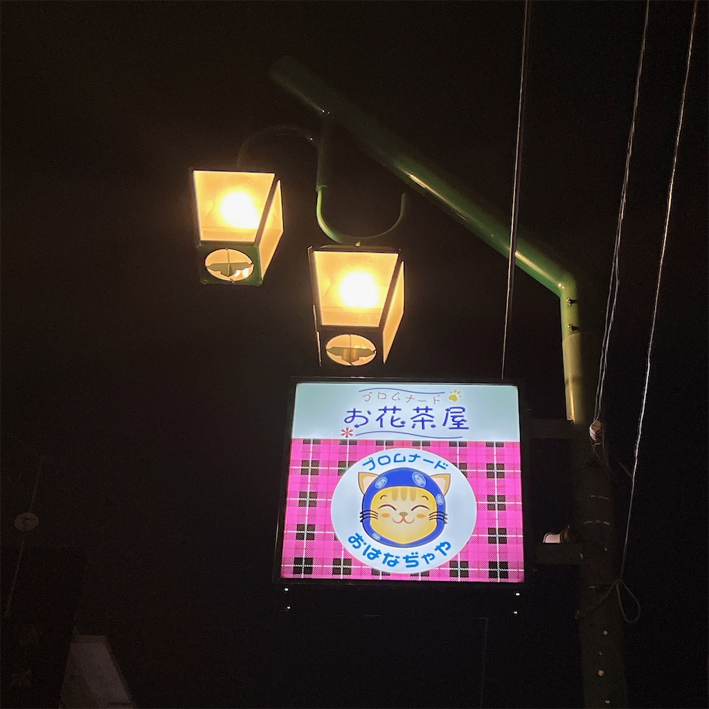 f:id:high-ho:20240402082729j:image