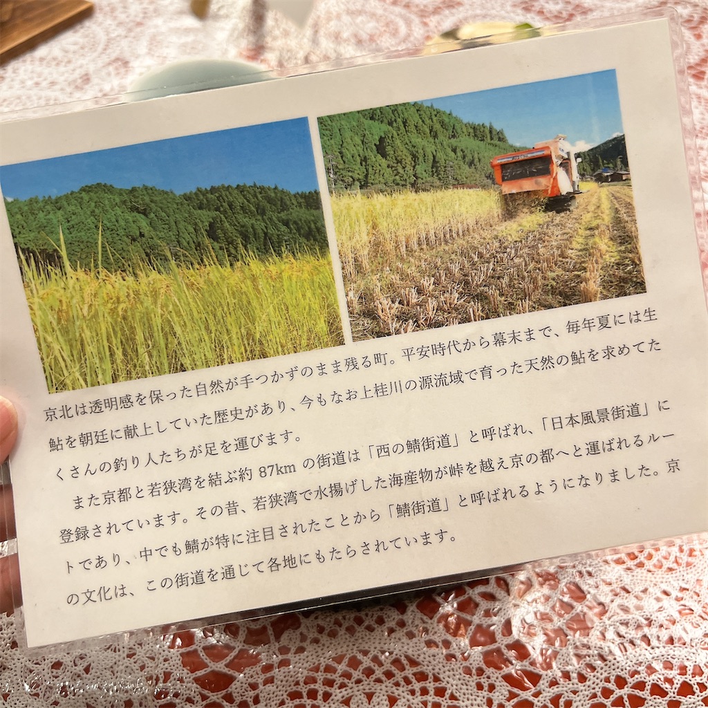 f:id:high-ho:20240522081505j:image