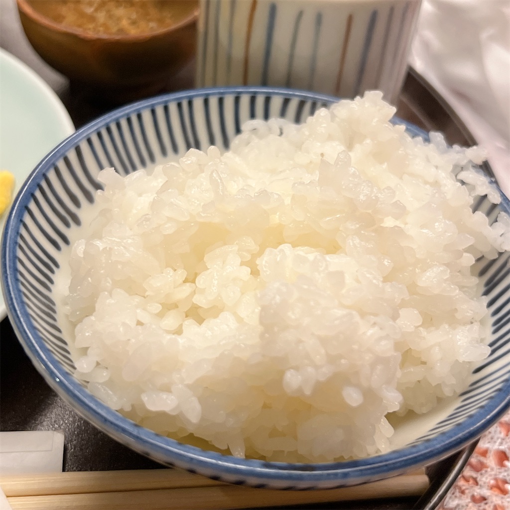 f:id:high-ho:20240522081526j:image