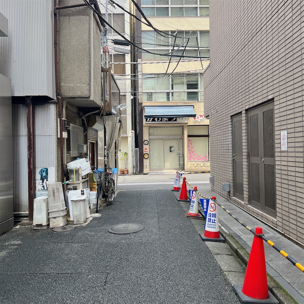 f:id:high-ho:20240603134532j:image
