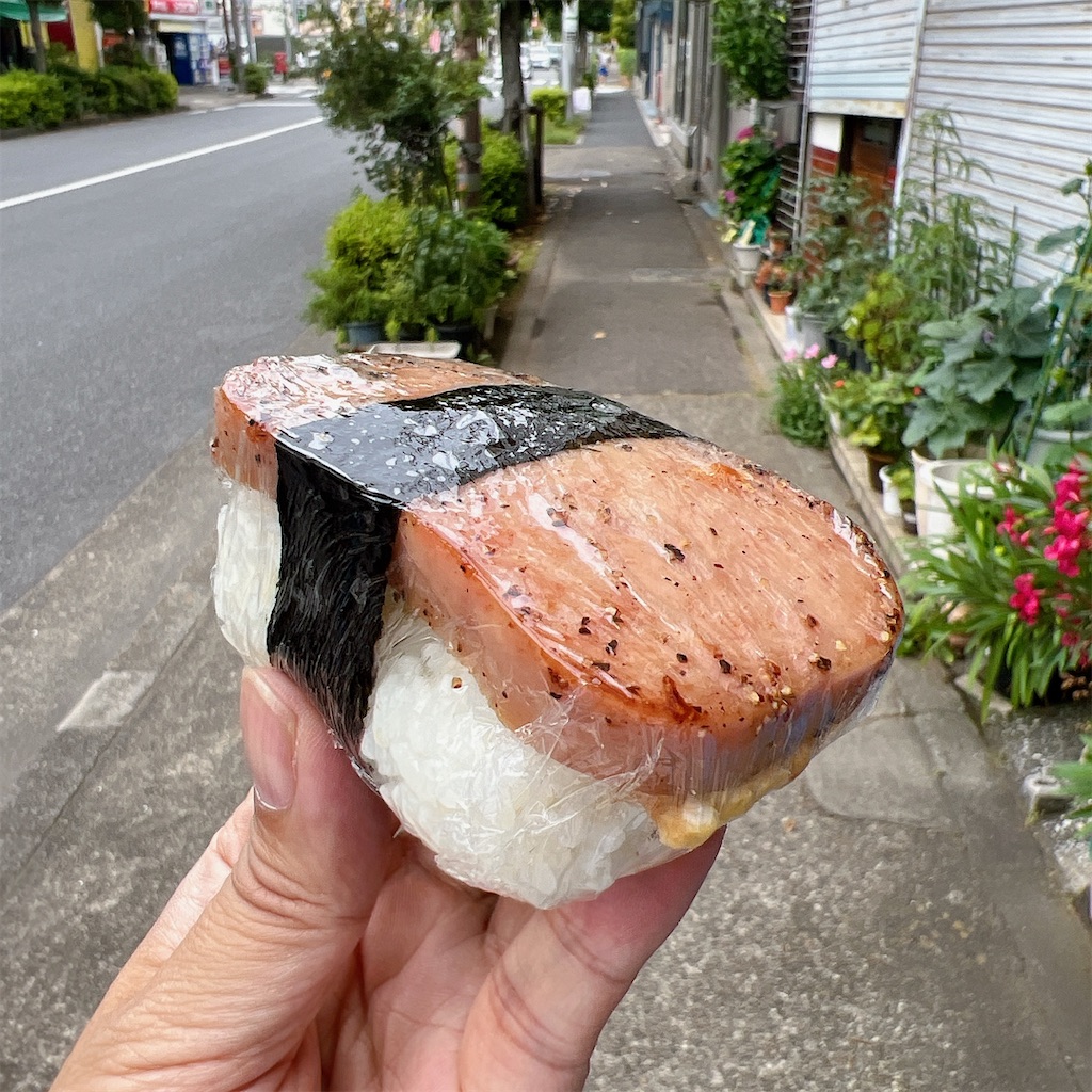 f:id:high-ho:20240610073812j:image