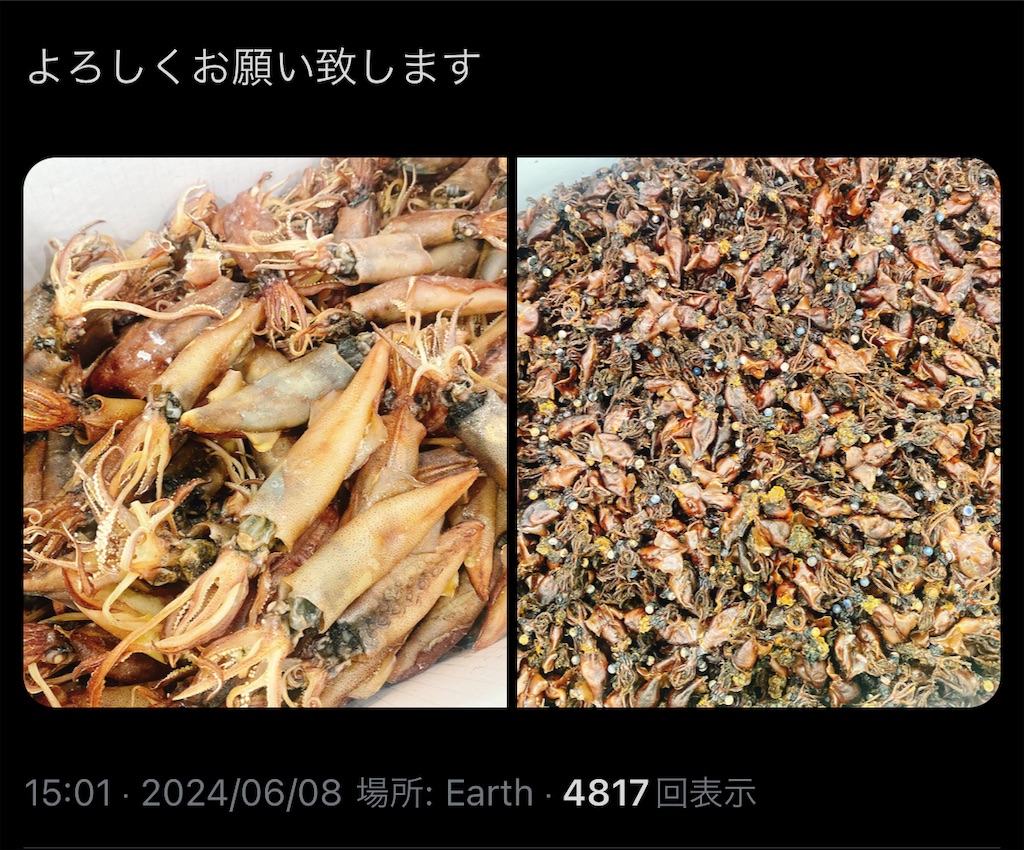 f:id:high-ho:20240611080958j:image