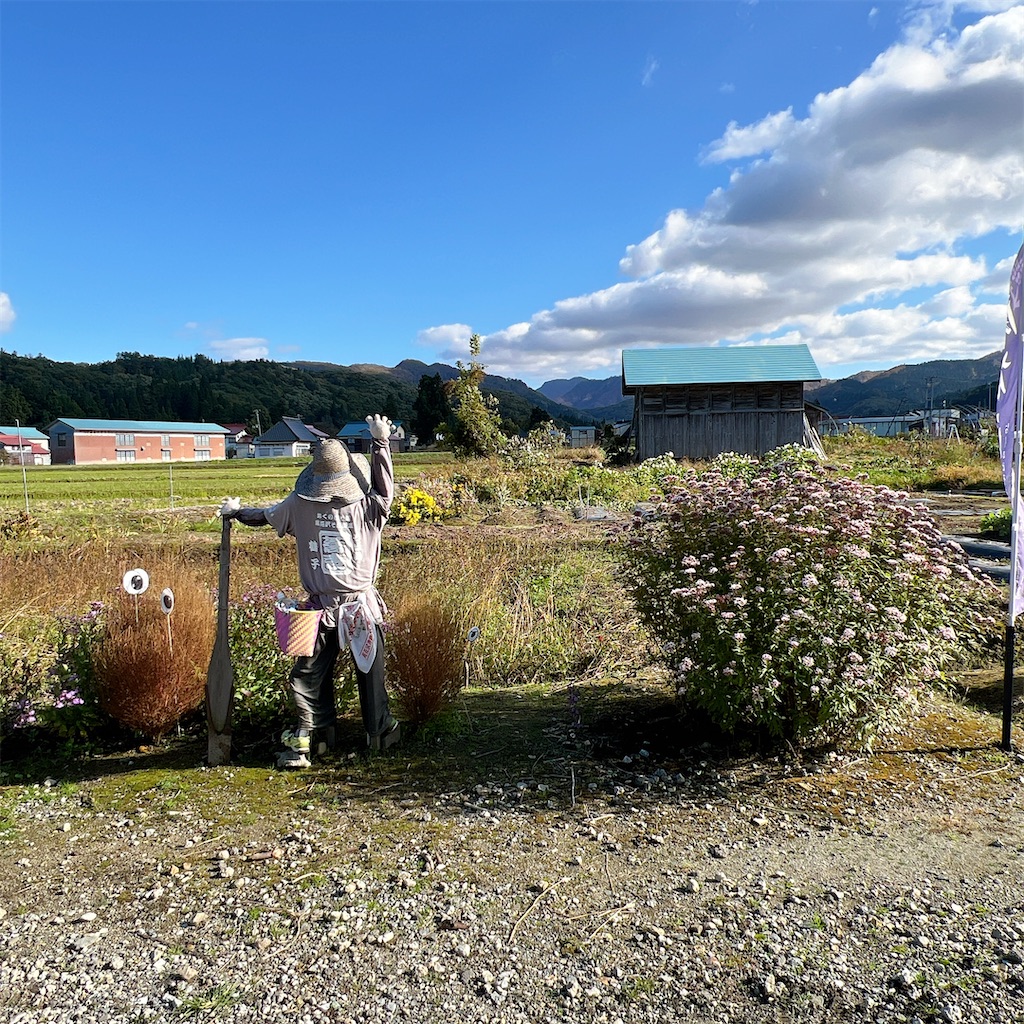 f:id:high-ho:20241104172644j:image