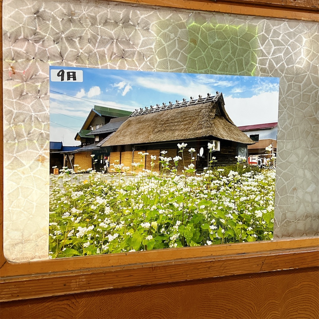 f:id:high-ho:20241104172801j:image