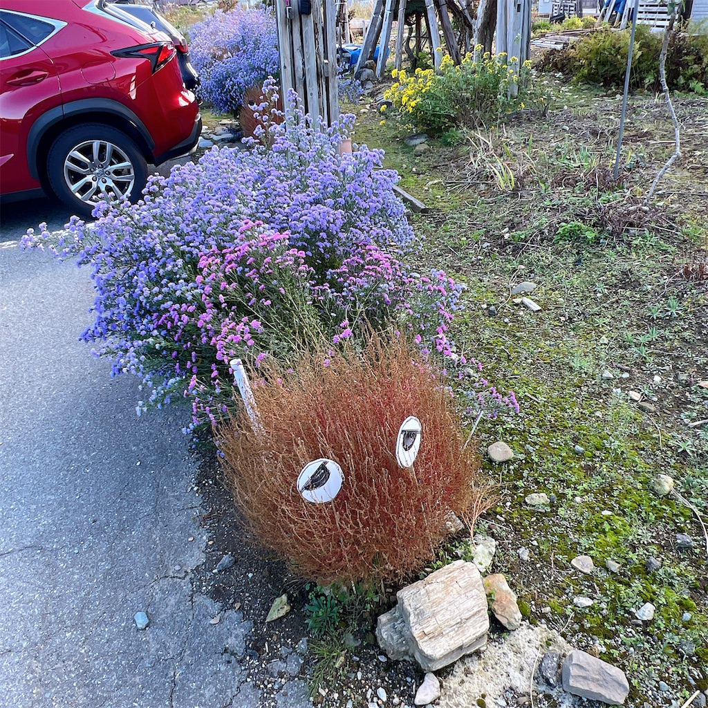 f:id:high-ho:20241104172821j:image