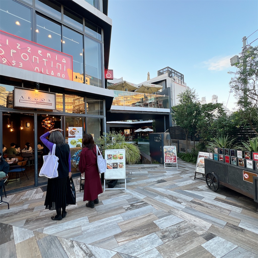 f:id:high-ho:20241121073849j:image