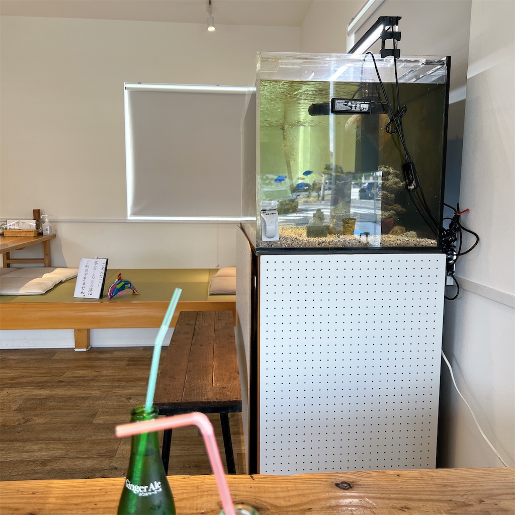 f:id:high-ho:20241121075505j:image