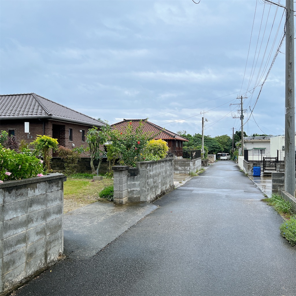 f:id:high-ho:20241209104220j:image