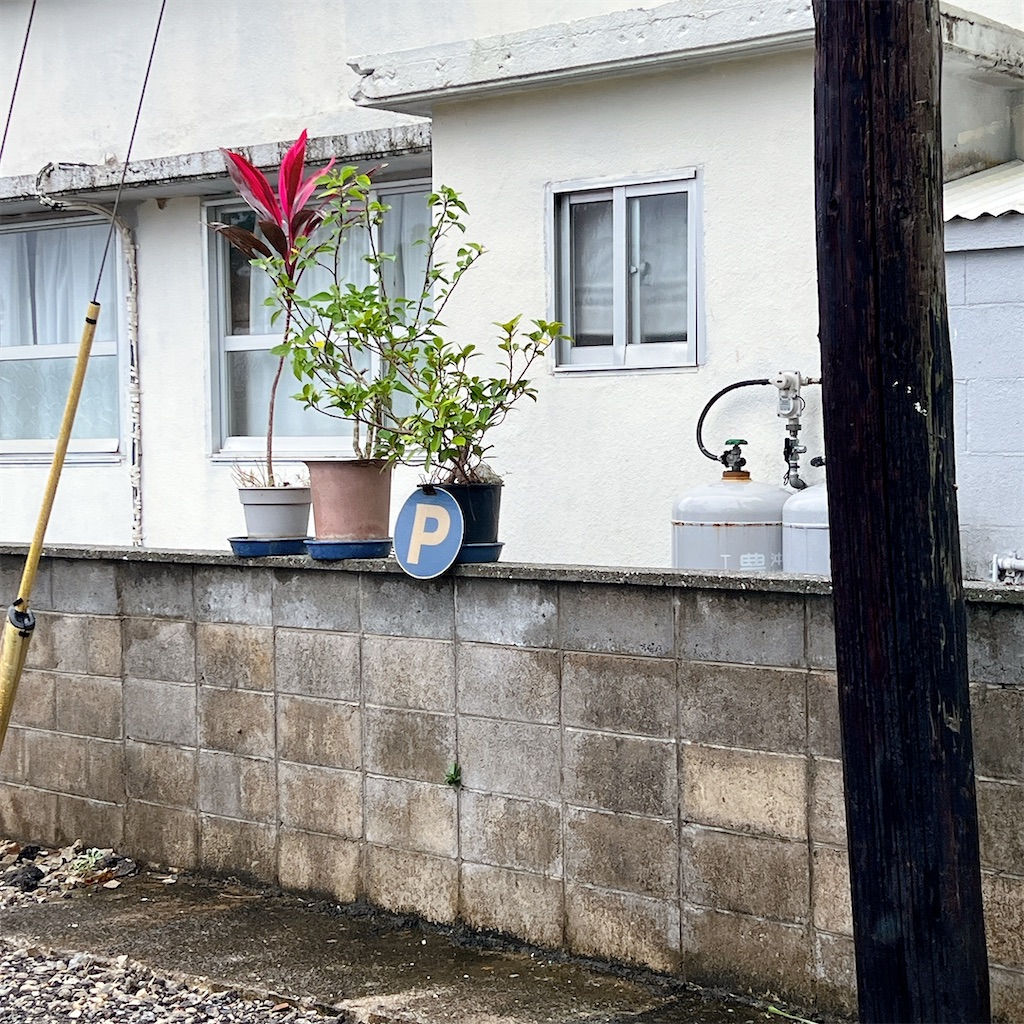 f:id:high-ho:20241209104316j:image