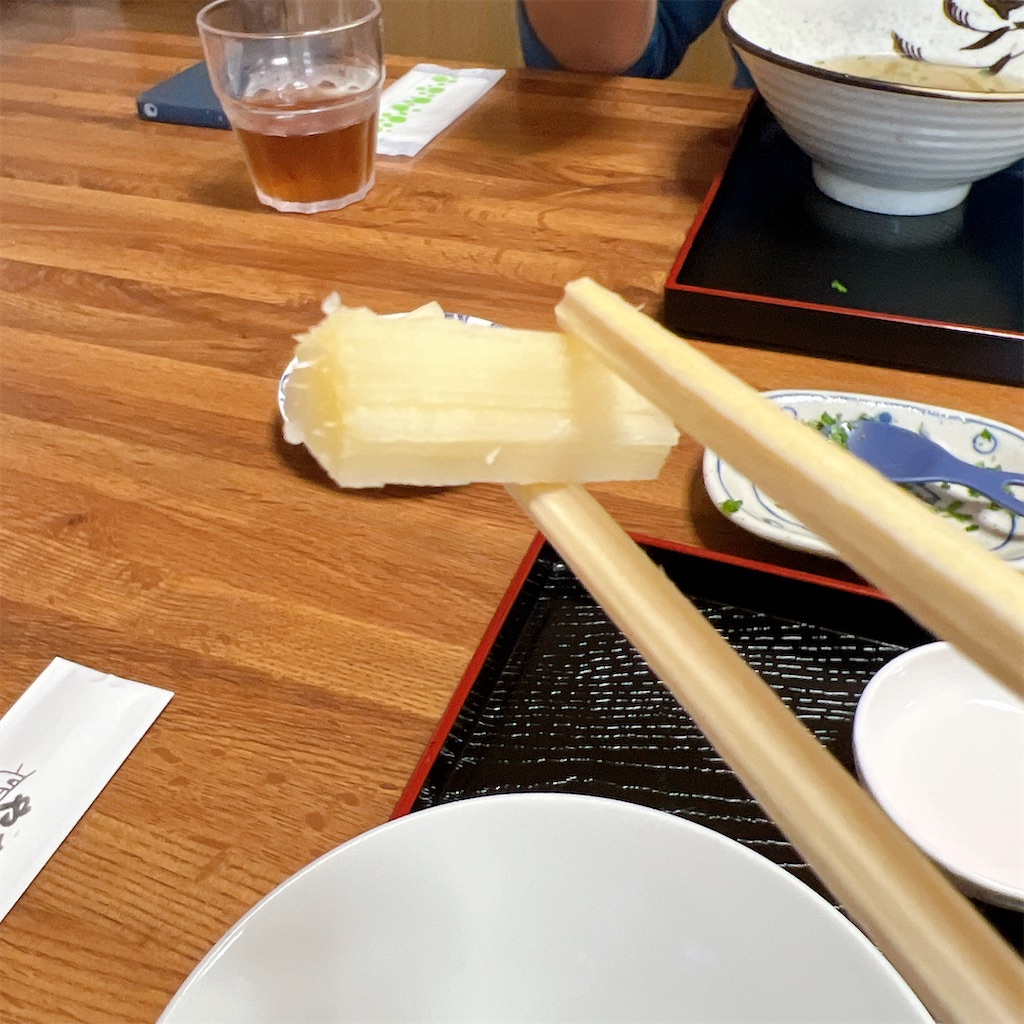 f:id:high-ho:20241209104324j:image