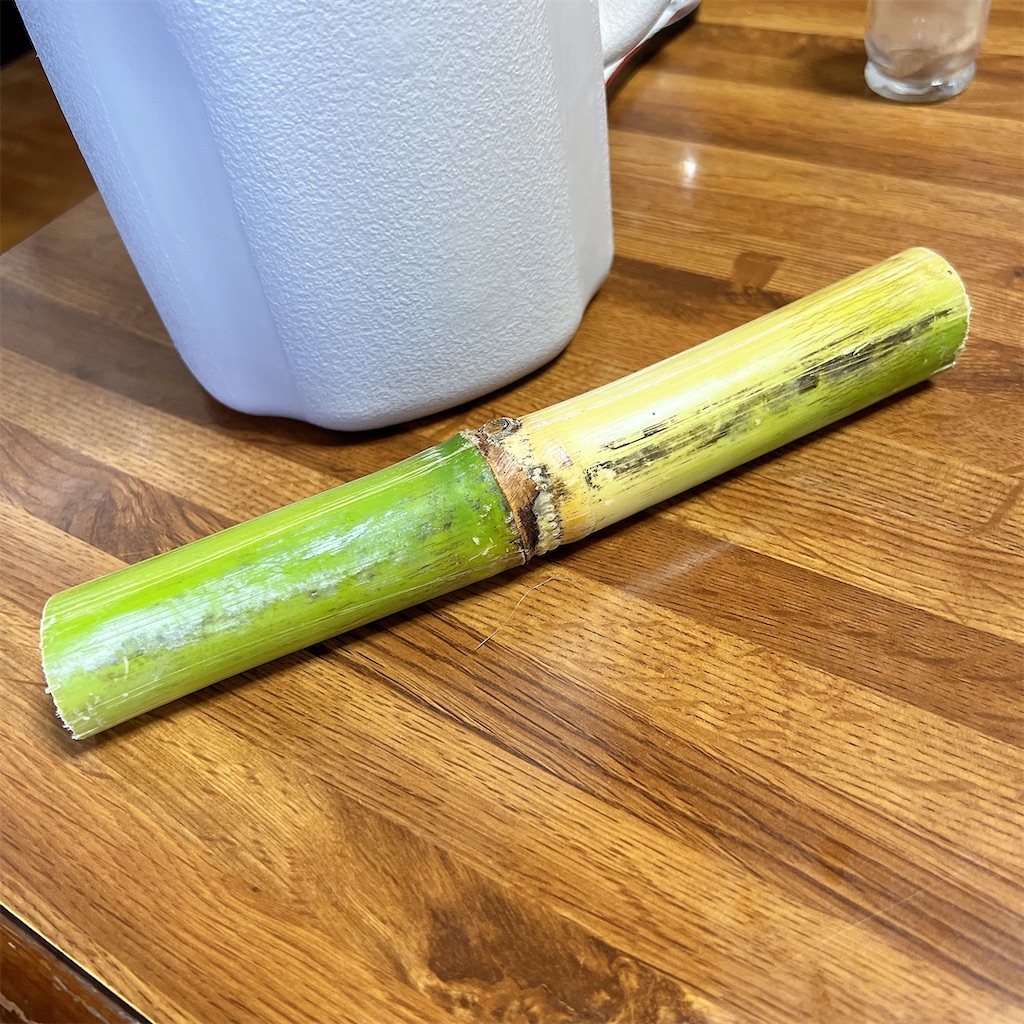 f:id:high-ho:20241209104333j:image