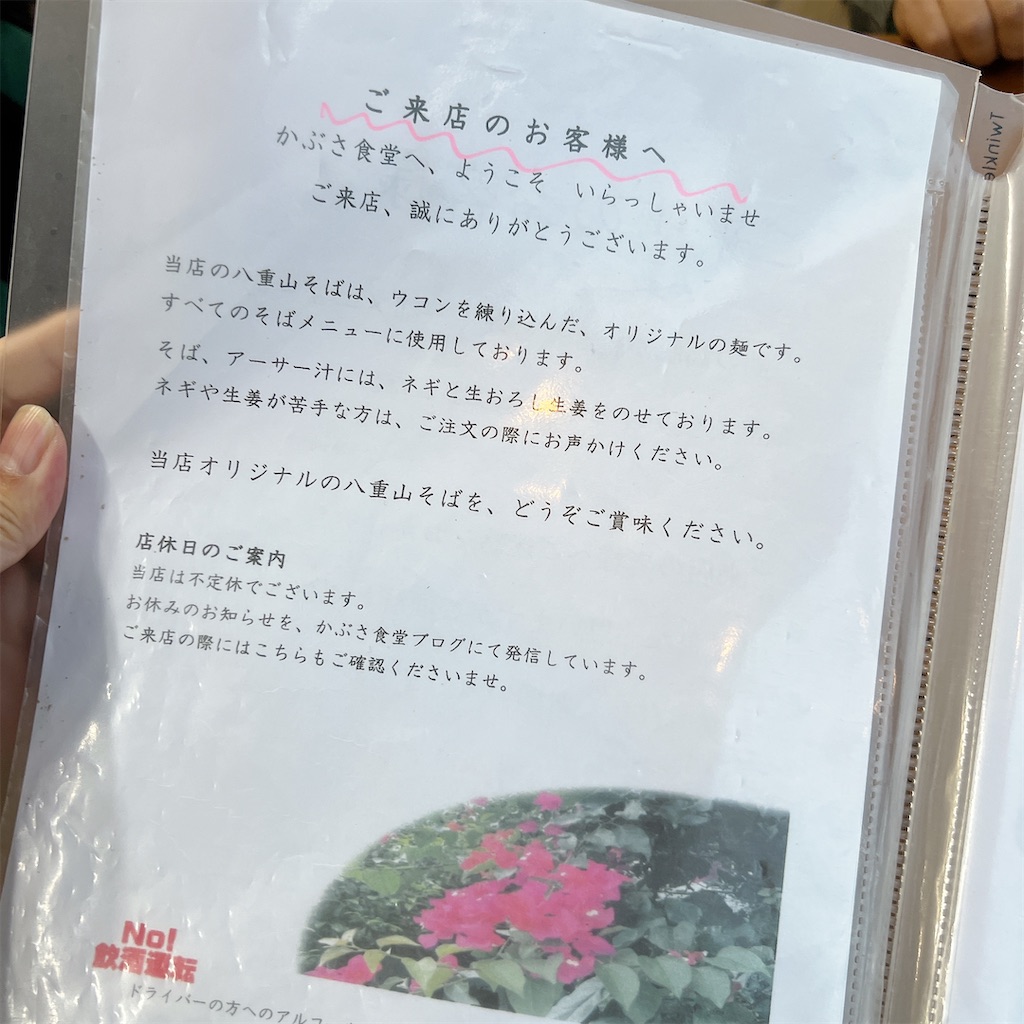 f:id:high-ho:20241209110706j:image