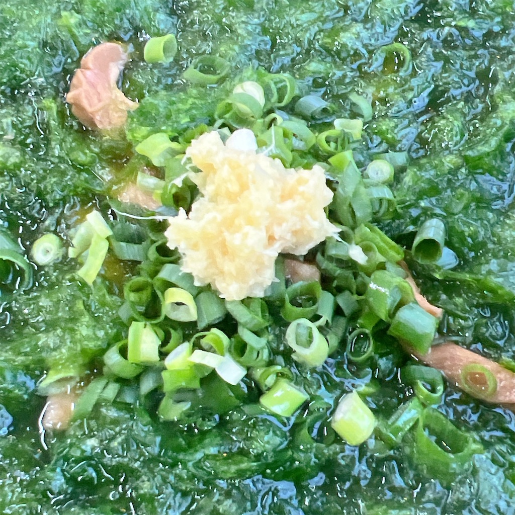 f:id:high-ho:20241209110757j:image