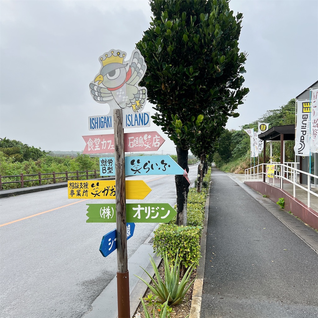 f:id:high-ho:20241209110814j:image