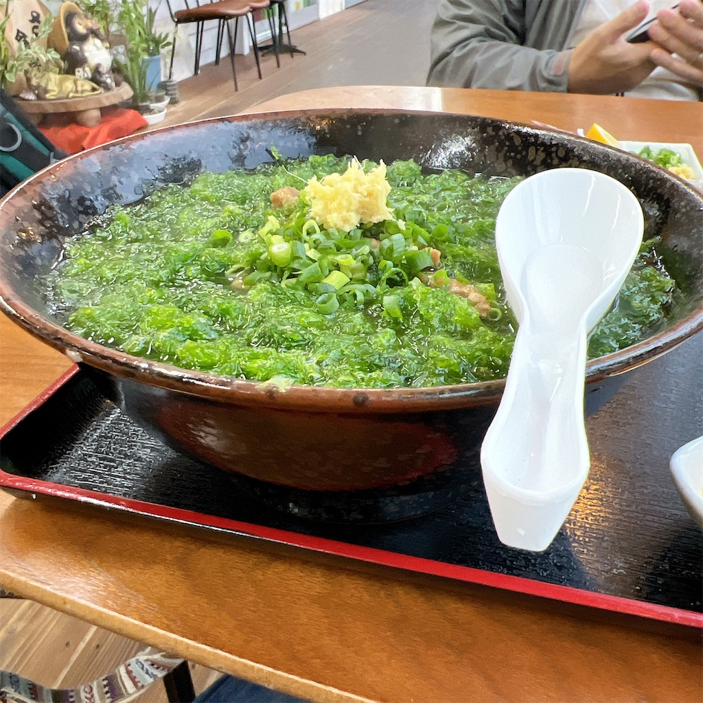 f:id:high-ho:20241209110836j:image