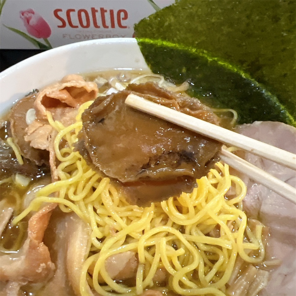 f:id:high-ho:20250129075732j:image