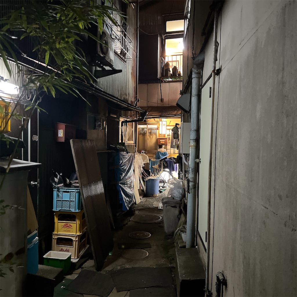 f:id:high-ho:20250304082225j:image