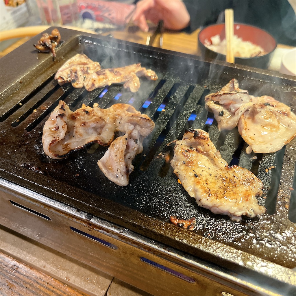 f:id:high-ho:20250410074249j:image