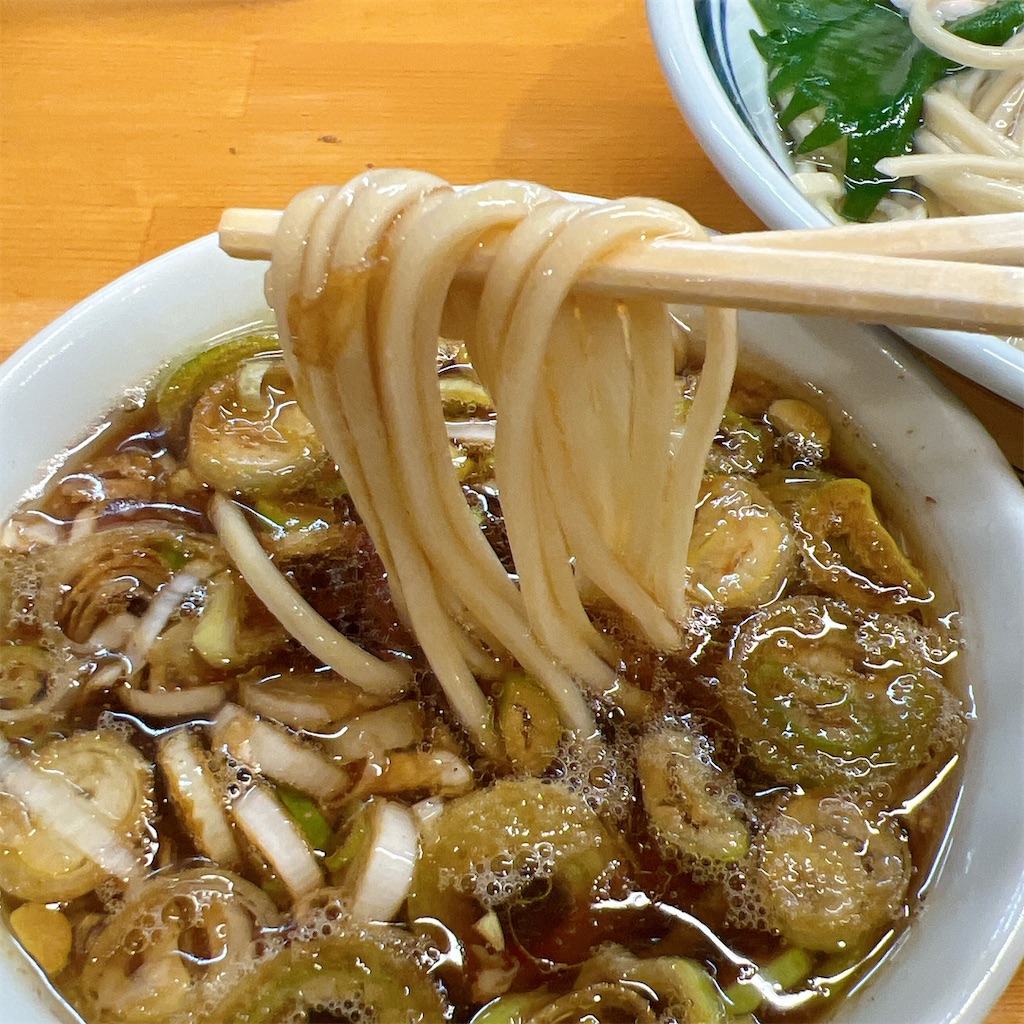 f:id:high-ho:20250521075129j:image