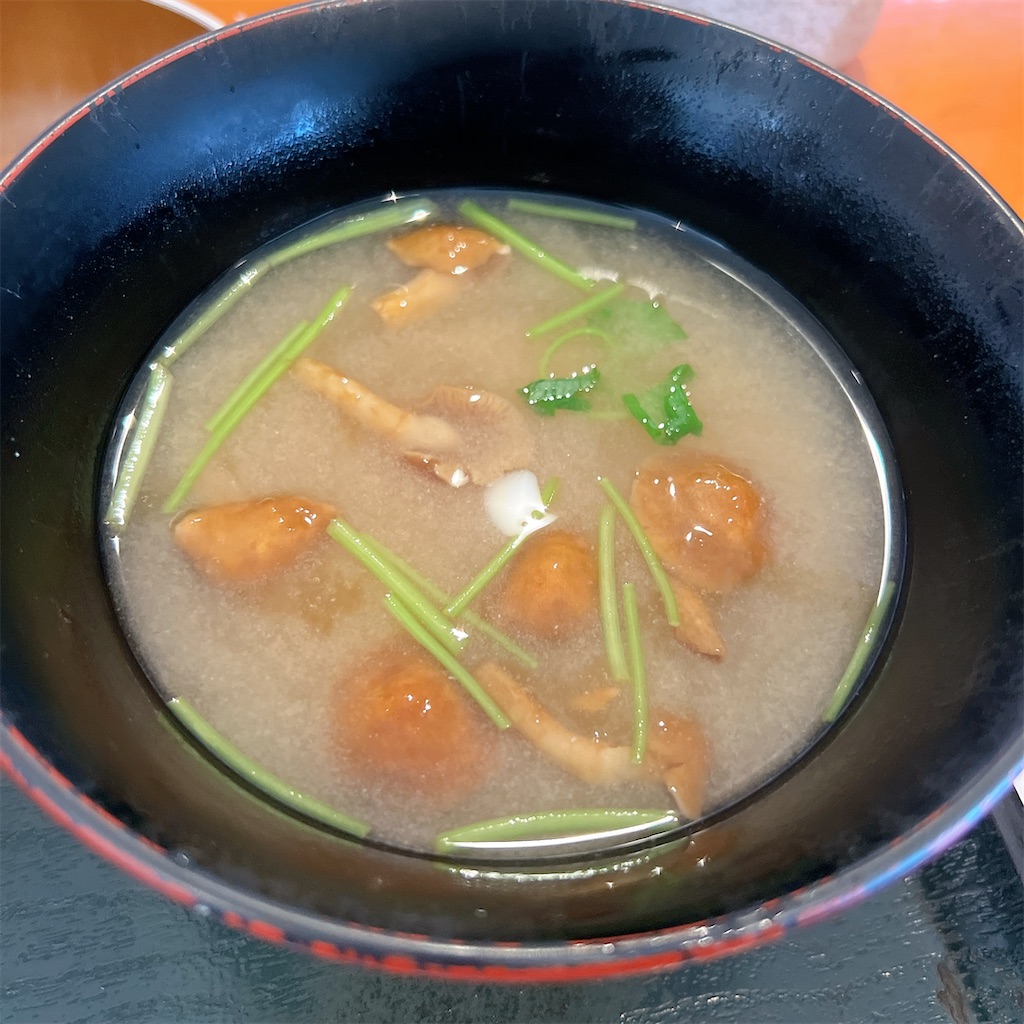 f:id:high-ho:20250610081248j:image