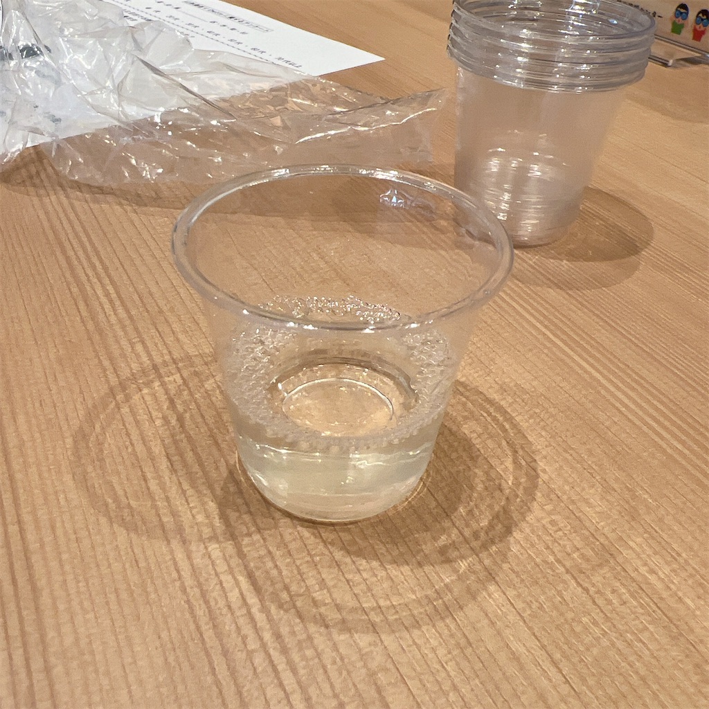 f:id:high-ho:20250610081511j:image