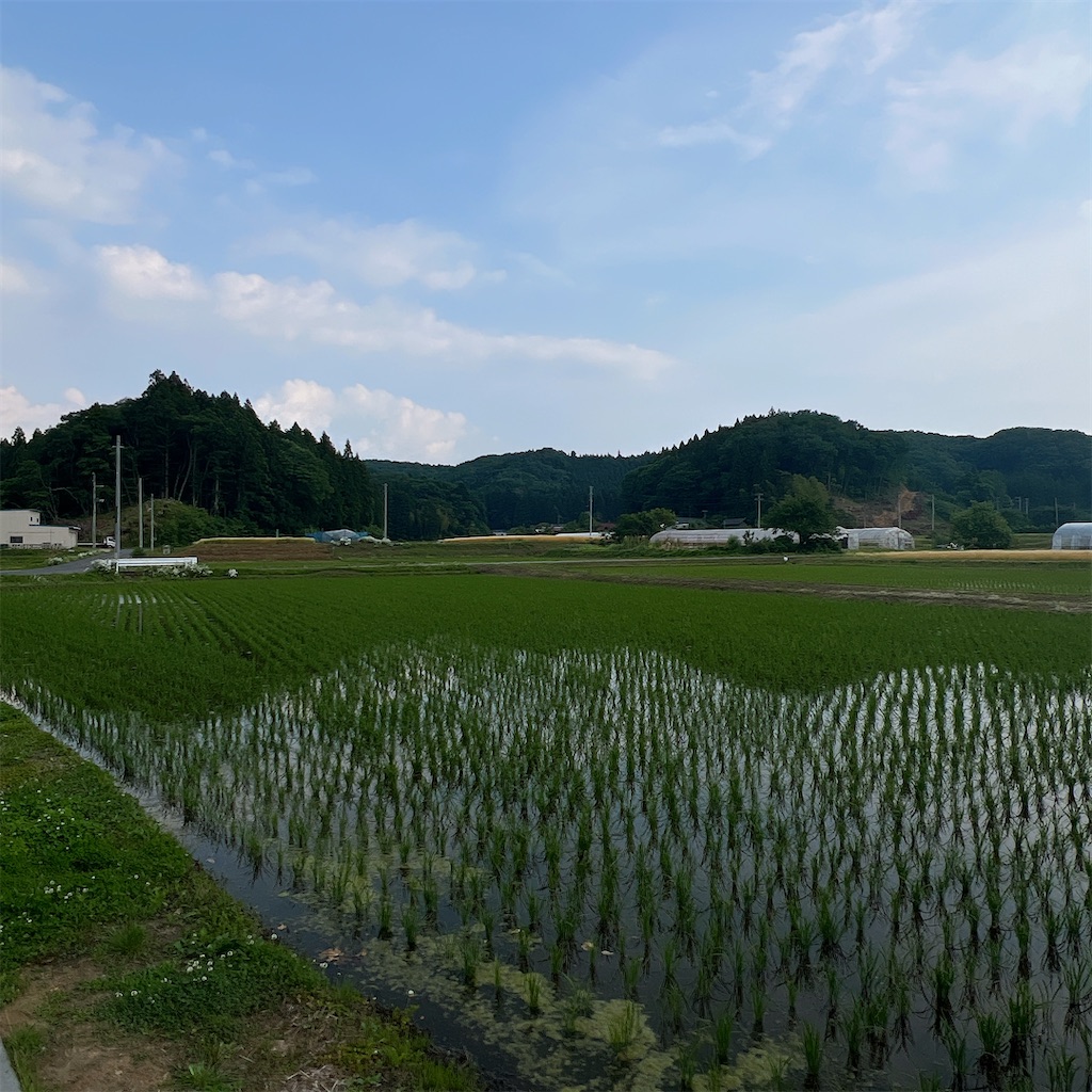 f:id:high-ho:20250610084246j:image