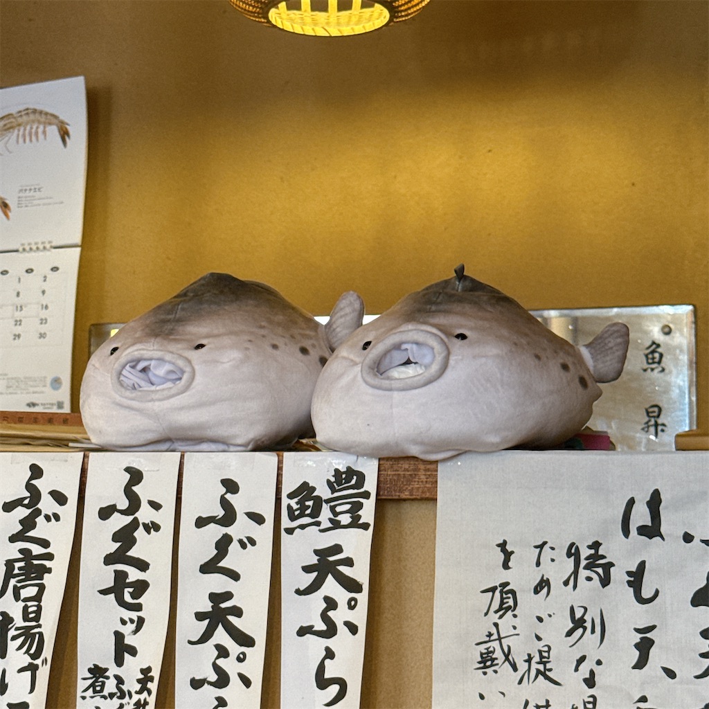 f:id:high-ho:20250818073944j:image