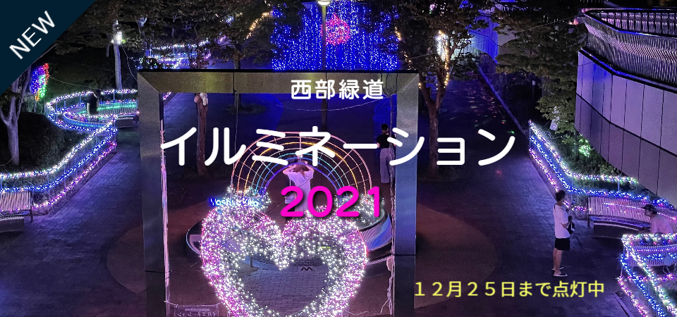 f:id:high_revolution:20211116233933p:plain