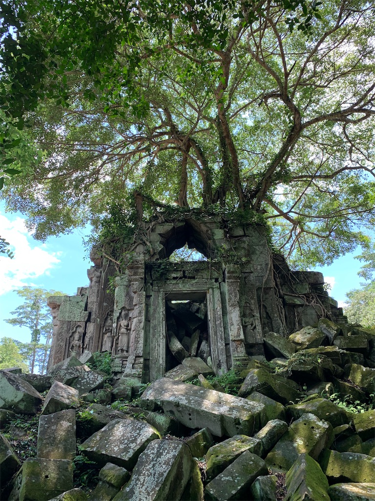 f:id:highland009:20251003205115j:image