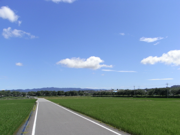 f:id:highrise:20110709142801j:image f:id:highrise:20110709142801j:image