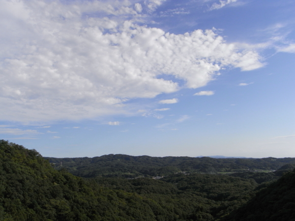 f:id:highrise:20110709164922j:image f:id:highrise:20110709164922j:image